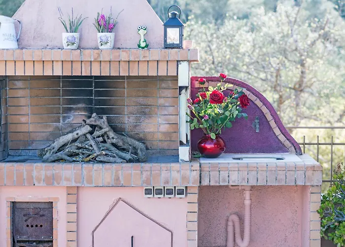 Roof Garden