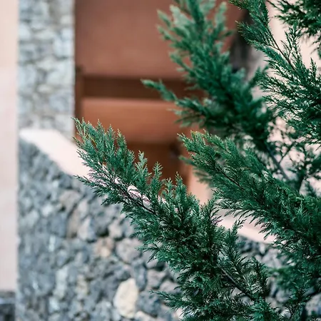 Roof Garden فيلة جوفيا