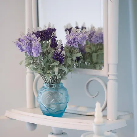 Roof Garden فيلة جوفيا