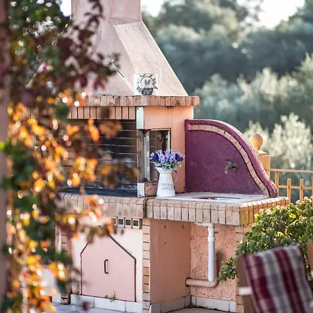 Roof Garden * جوفيا