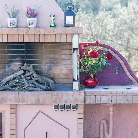 Roof Garden