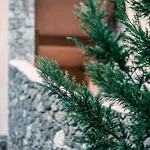 Roof Garden فيلة جوفيا