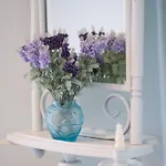 Roof Garden فيلة جوفيا